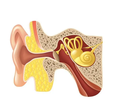 春节嗨翻天，你的“耳鼻喉”还好吗？“常规操作”竟然是误区？